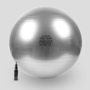 Phoenix Fitness Exercise Ball - Gym Ball for Yoga, Fitness & Pregnancy with Hand Pump - Anti-Burst Swiss Ball for Core, Balance & Stability - Sliver